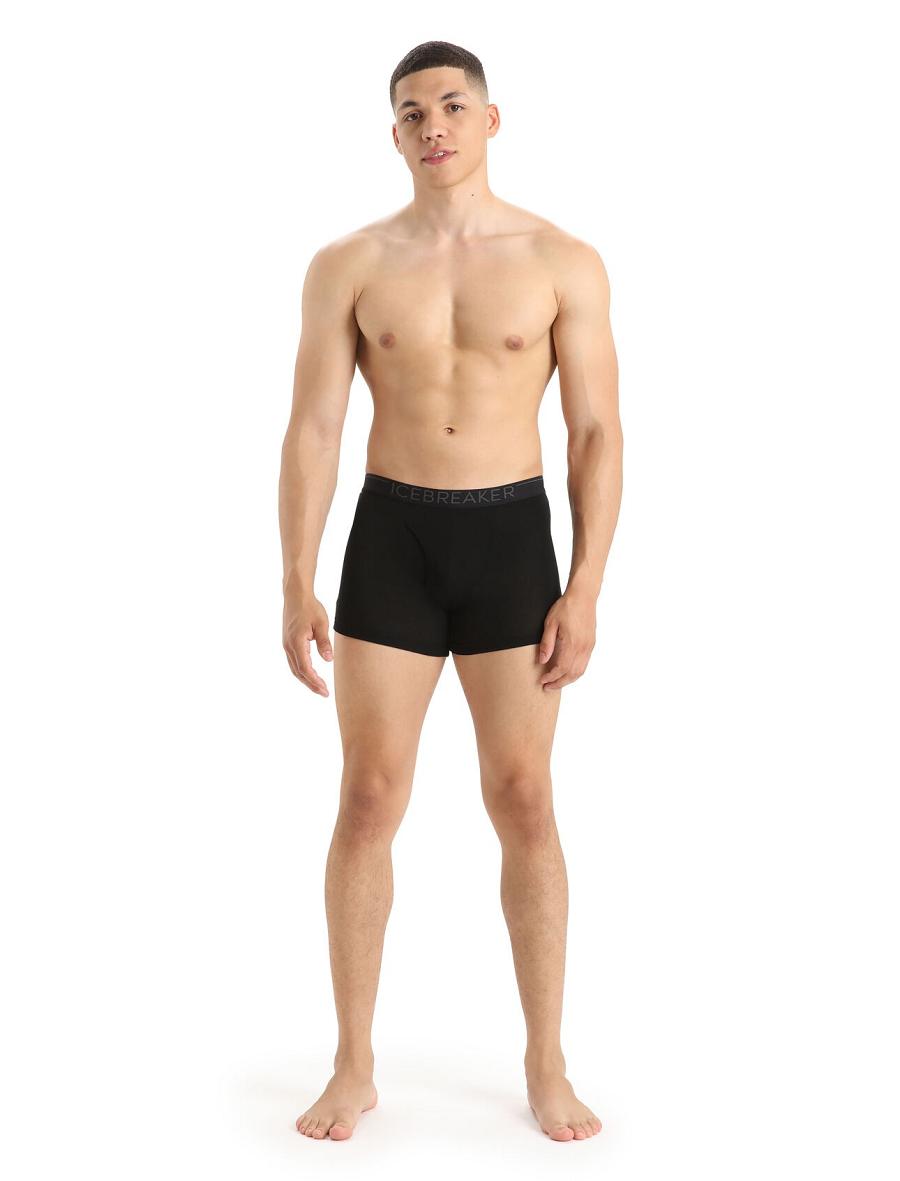 Icebreaker Merino 175 Everyday Thermal Boxers With Fly Férfi Fehérnemű Fekete | HU 1293VRWD